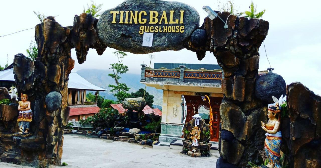 Tiing Bali Guest House Adventure Kintamani Exteriör bild